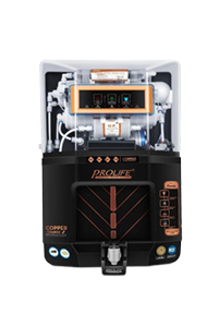 prolife-fiesta-purifier3